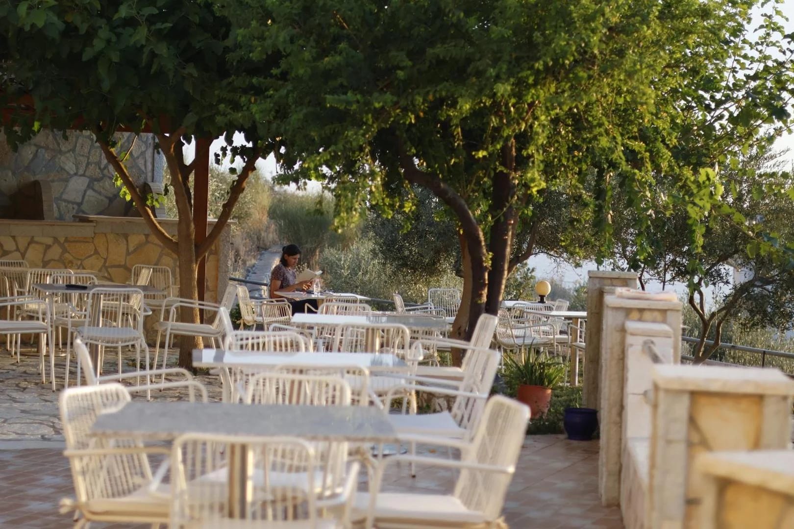 White tables and chairs under fig and olive trees on the terrace in the morning, the bay beyond the wall